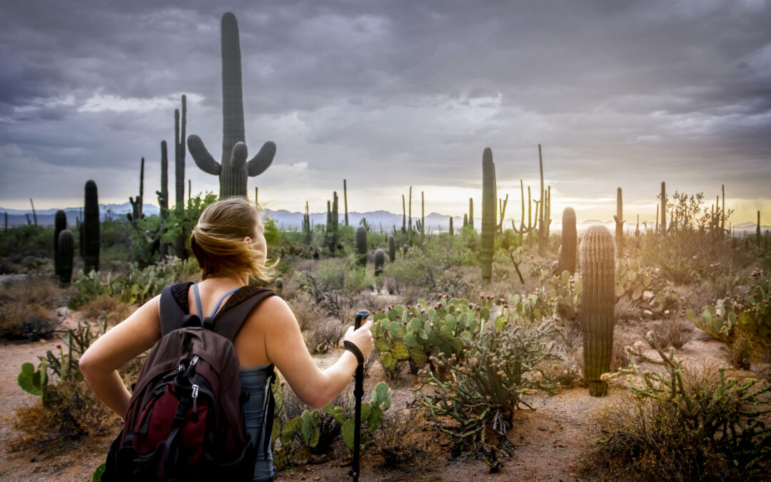 Canyon Ranch Desert